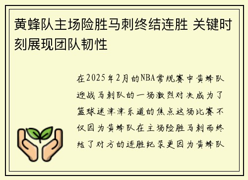 黄蜂队主场险胜马刺终结连胜 关键时刻展现团队韧性
