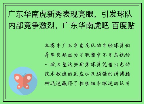 广东华南虎新秀表现亮眼，引发球队内部竞争激烈，广东华南虎吧 百度贴吧